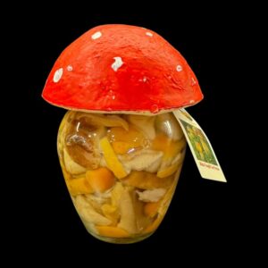 MISTO FUNGHI CON PORCINO – 290 g